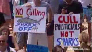 Thousands protest over shark cull in Australia