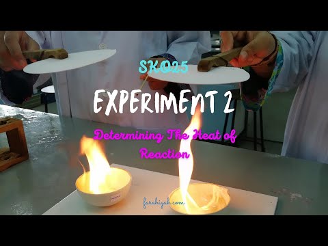 SK025 EXPERIMENT 2 CALCULATION AND RESULTS