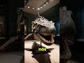 Esse peixe bizarro existiu no mar pré-histórico... #prehistoria