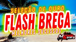 FLASH BREGA - SELEÇÃO DE OURO - OS MELHORES SUCESSOS PRA VOCÊ RECORDAR