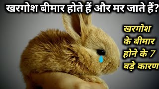 खरगोश को बीमार होने से कैसे बचाएं? How to save rabbit from getting sick and dying?