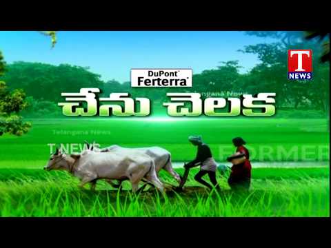 Chenu Chelaka | Y Purna Chandra Reddy About Sheep & Goat Farming | T News live Telugu