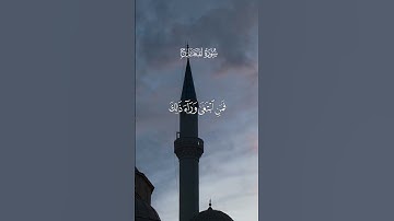 سورة المعارج الاية 19-35 | محمد اللحيدان