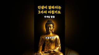 인생을 바꾸는 부처님의 아침기도 3가지|부처님말씀|부처님가르침 #인생조언 #마음공부