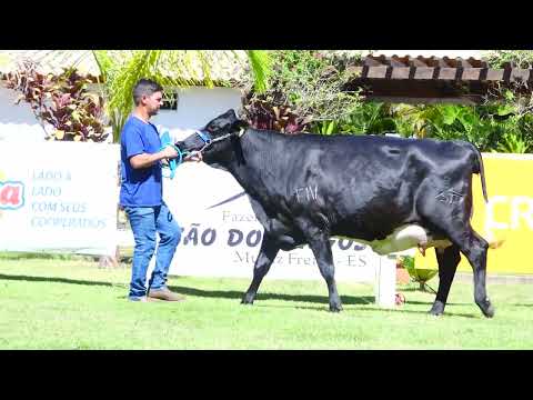 LOTE 13 NOTA FIV ATWOOD BALISTICA SÃO DOMINGOS