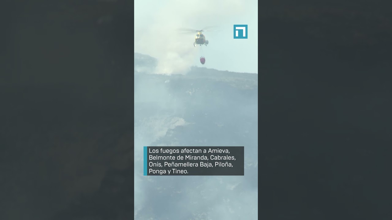 Asturias registra 14 incendios forestales en 12 concejos