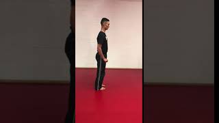 IMG 1333