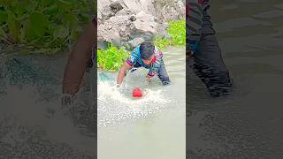 Catching a 23-kg catfish with a hand spear in a riverine paddy field." #fishing #fishingvideo #short