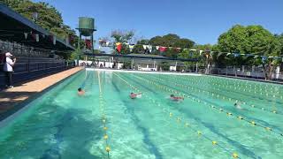 Bulacan Sport Complex Swimming Competition #trending #2024