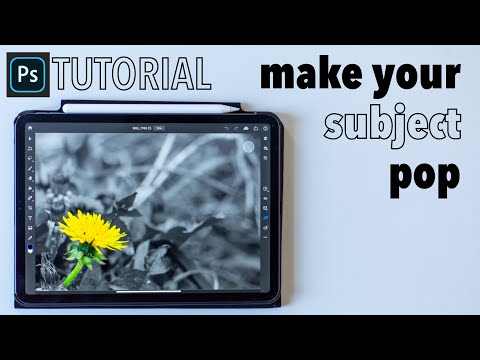 Photoshop on IPadPro Tutorial - Black & White separation/Color splash effect