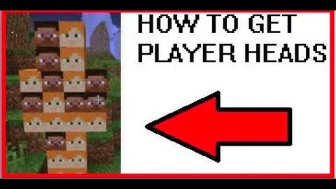 How to get player heads in minecraft 1.16.1
