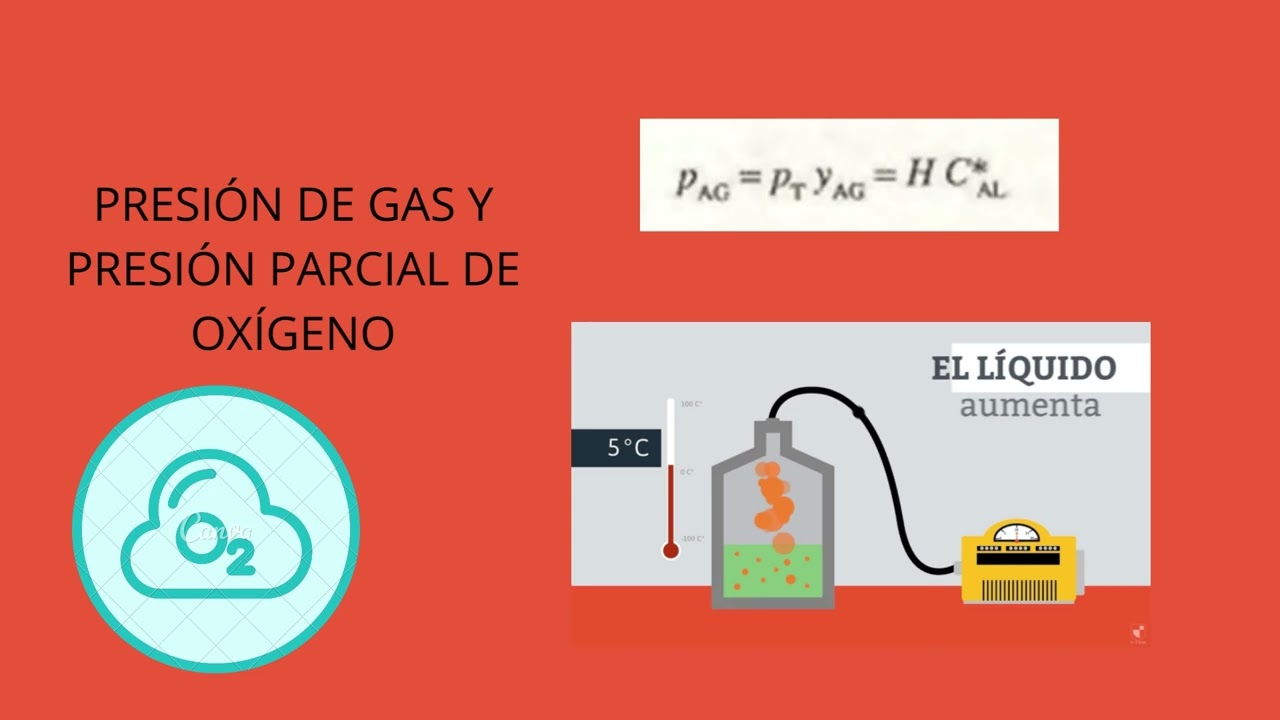 Transferencia de oxigeno en fermentadores