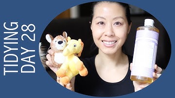 30-Day Tidying Challenge (KonMari Method) • Day 28 • Cleaning & Pet Supplies (Komono)