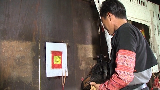 Tin Tức 24h: Hình tượng con gà trong văn hóa người Mông, người Thái screenshot 3