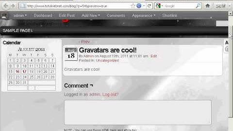 Video 18 - How to Use Gravatars for Your Blog.avi
