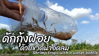 วิธีดักกุ้งฝอยด้วยขวดน้ำHow to Make a Fish Trapwith Plastic BottleShrimp traps from a water bottles.