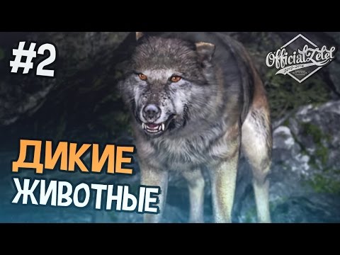 Видео: Far Cry 4 Прохождение на русском - ДИКИЕ ЖИВОТНЫЕ - Часть 2