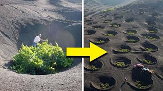 How These Circles In The Sahara Help Farmers To Grow Crops In The Desert