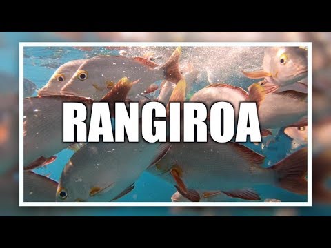 Video: Una guía completa de Rangiroa, Polinesia Francesa