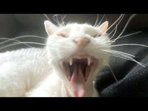 POV «Лагерь» про Т/и и Пэйтона💖