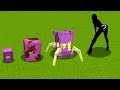 what evolution Shulker happen next?