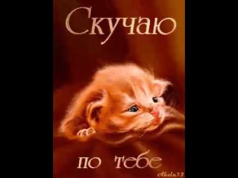 Картинка хорошего дня скучаю