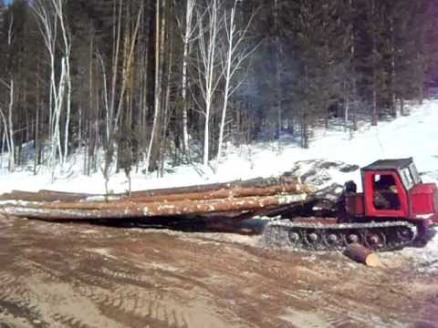 тдт-55а трактор трелевочный. трелевка тт4. трелевка леса на тт4. тт-4 трактор трелевочный. работа тт 4 в лесу.