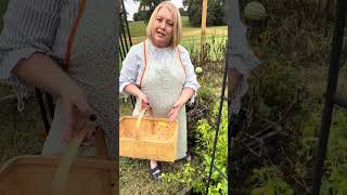 Checking In: A Long Overdue Garden Walk