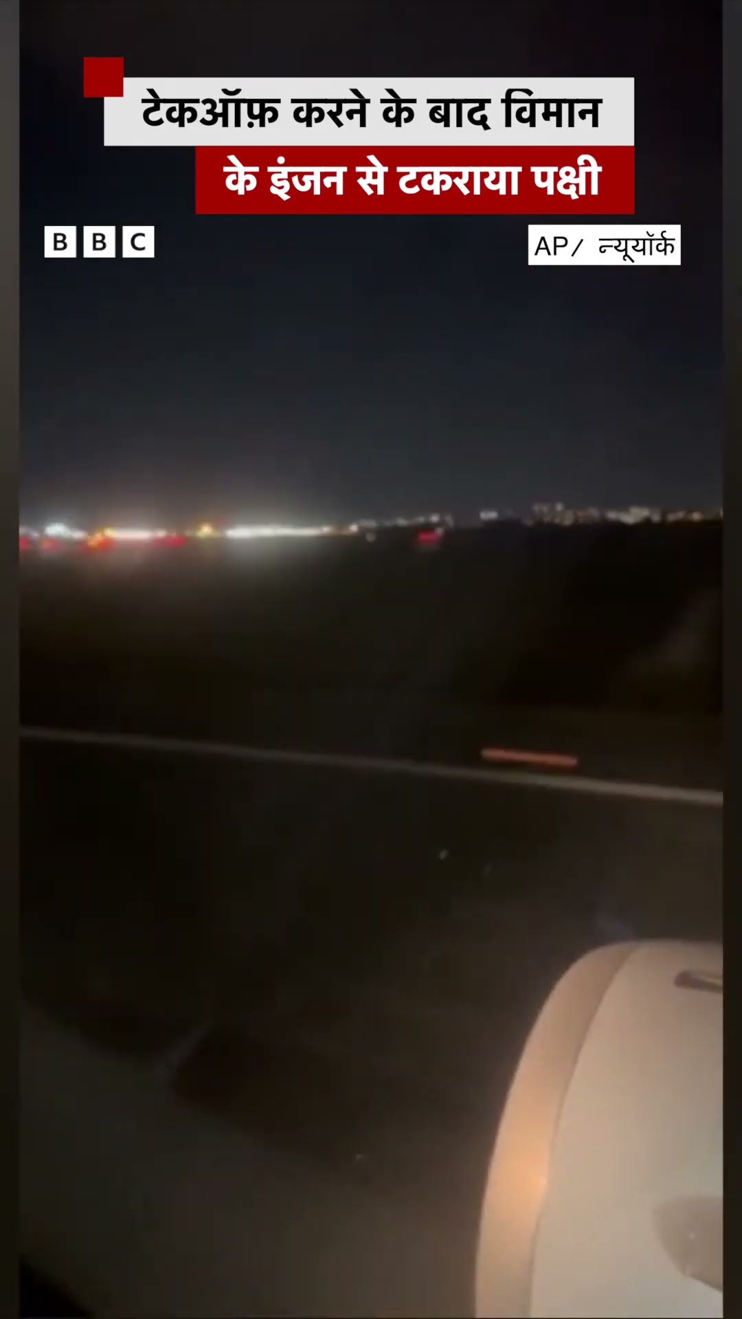 New York में Take Off के बाद Plane से टकराया पक्षी #newyork #airoplane #america