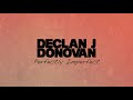 Declan J Donovan Perfectly Imperfect Official Lyric Video mp3