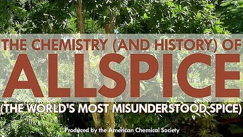 The World's Most Misunderstood Spice: Allspice - DayDayNews