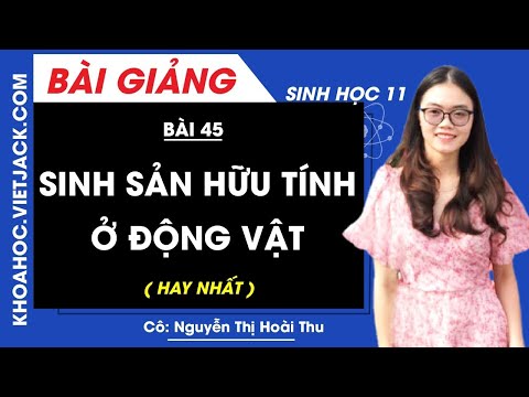 Video: Làm thế nào để động vật da gai sinh sản hữu tính?