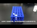 Step-by-step tutorial for plasmid extraction experiment demonstration