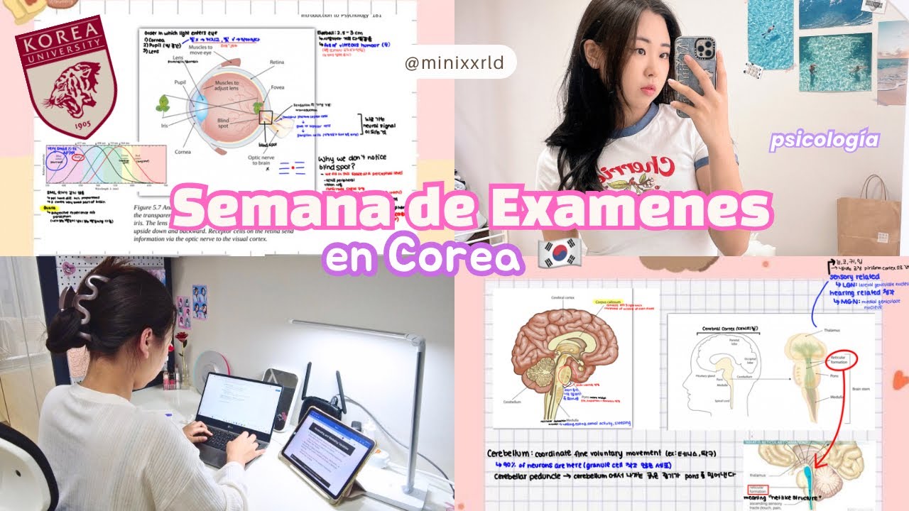 VLOG🎀 Sobreviviendo semana de examenes: estudiando, probando tacos🌮, psicologia 🧠🤓