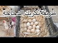 طريقة تكريك الدجاجه بشكل صحيح ابو ضحى