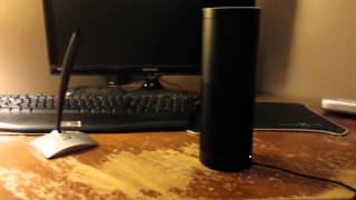 Asking Alexa stupid questions