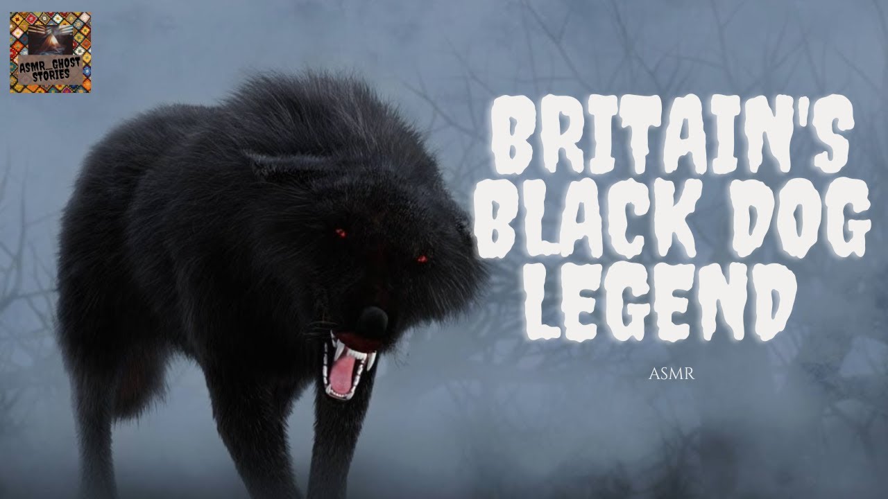 Britain's Phantom Black Dog Legend (ASMR Soft Spoken)