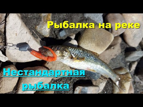 Рыбалка на реке. Рыбалка в Иркутской области