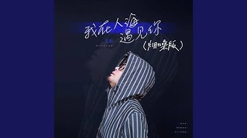 我在人海遇见你 (烟嗓版)
