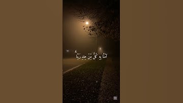 تلاوة مريحة عبدالرحمن مسعد #راحة_نفسية_قرآن #المصحف #راحه_وطمأنينه_للقلب #راحة_نفسية #دويتو #الرحمن