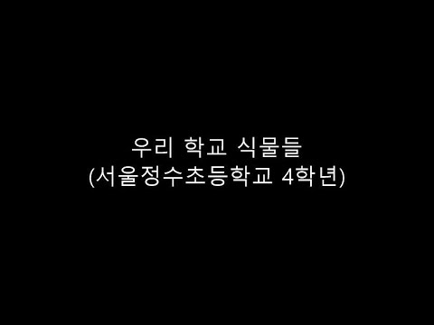 우리 학교(서울정수초) 식물들_(3월 ~ 9월) 동영상