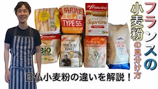 【必見！】フランスの小麦粉の見分け方／パリ在住シェフが解説！日本の小麦粉の分類との違いとは？