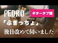 PEDRO - ぶきっちょ ギタータブ譜