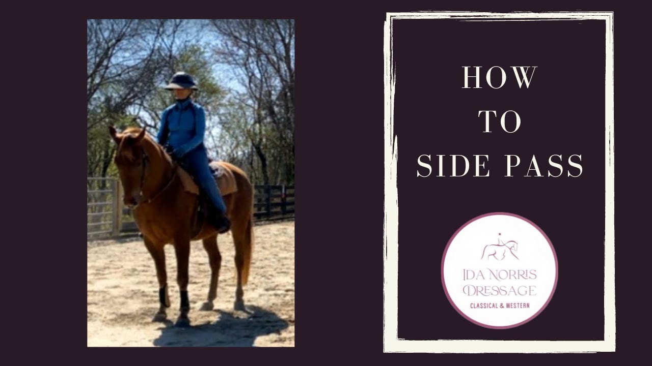 How to Side Pass // Western Dressage // Gaited Horses YouTube