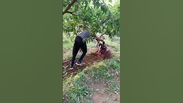 Mini Tiller Machine in Action | Powerful Farming Tool for Easy Soil Preparation part 790