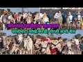 मोरगाव/राजेंगांव पटातील सर्व मेन बैल जोड्या बघा स्टार्टींग पॉईंट😱||करडी,सालेभाटा,मोखे,येरली सर्व बैल