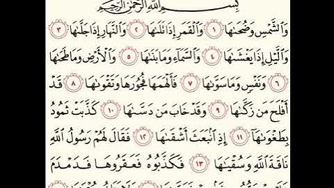 سورة الشمس القارئ ميثم التمار