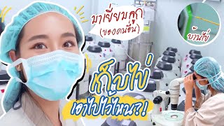 มาเยี่ยมลูก (ของคนอื่น) เก็บไข่ เอาไปไว้ไหน? Egg freezing บ้านของไข่!! ll Bivoyage