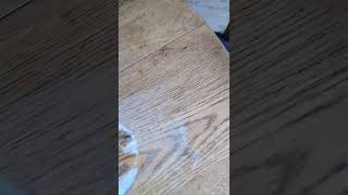 Fix water spot on old table doing this!