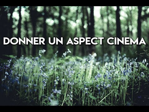 COMMENT DONNER UNE ASPECT CINÉMA A VOS PHOTOS?